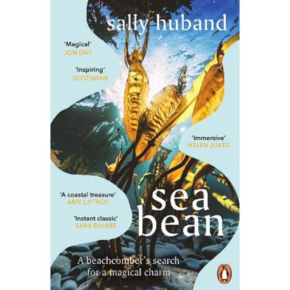 Sea Bean (Paperback) - Sally Huband